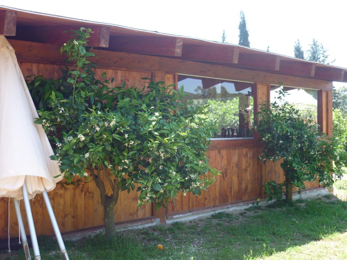 Il Frutteto Bed & Breakfast Торе деле Стеле Екстериор снимка